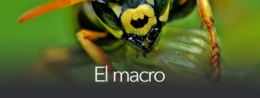 All about moving picture (3): the macro