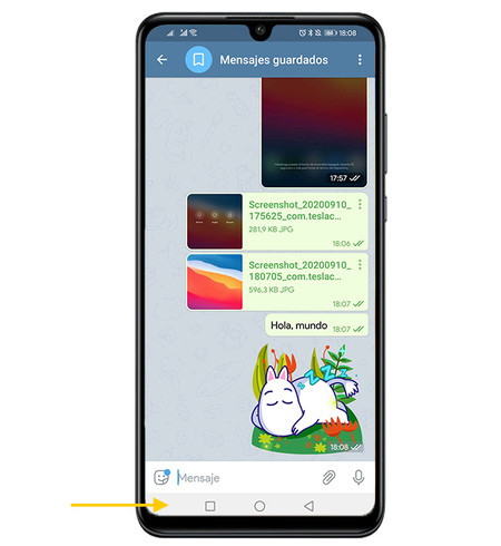 Navigation bar