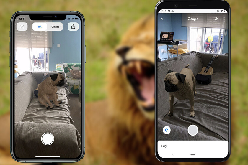 Google adds 50 new 3D animals: hippo, squirrel, giraffe and many more