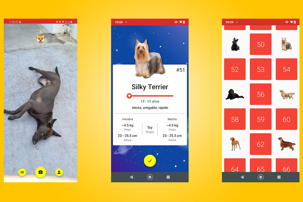 Todogs is an app to identify and catalog the dogs that you meet on the street