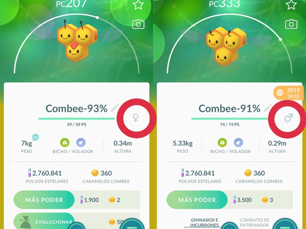 How To Evolve Combee Into Vespiquen Metimetech