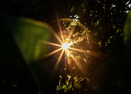 Starburst