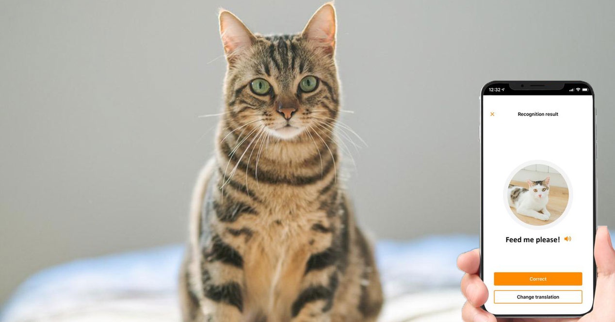 MeowTalk, an app to translate cat meows with your mobile - MeTimeTech