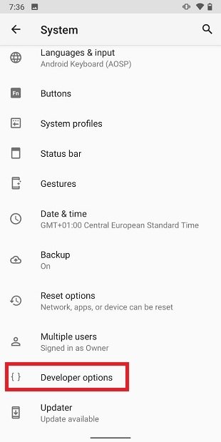 Enter the developer options