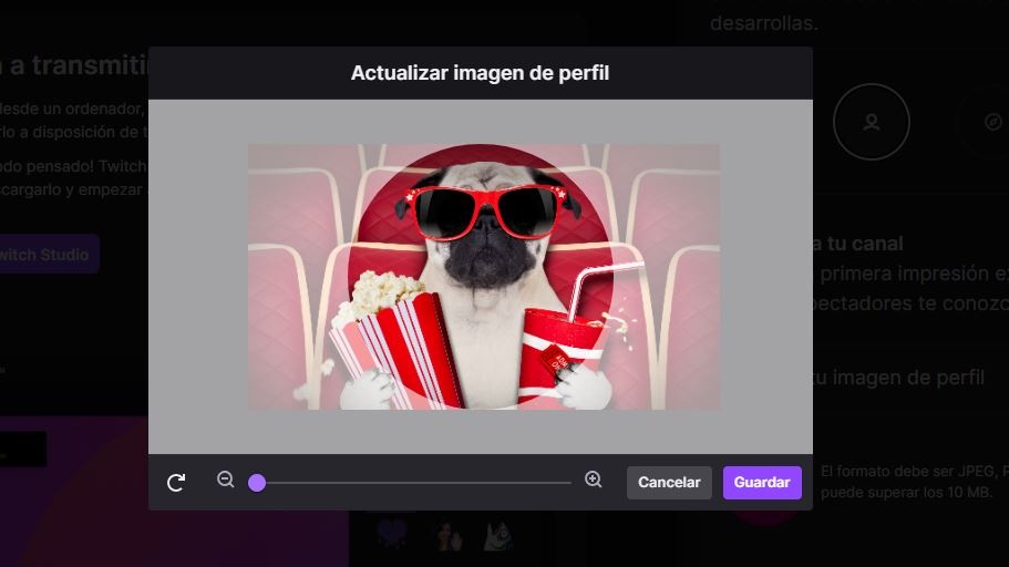 Twitch Profile Photo