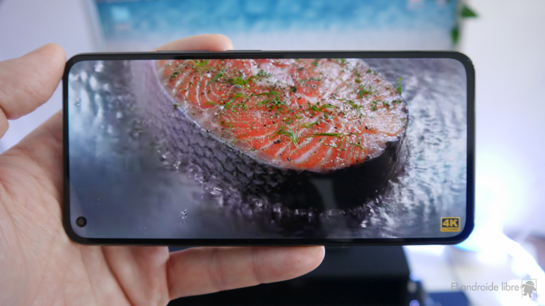 Xiaomi Mi 11 Lite, analysis: extremely light and thin