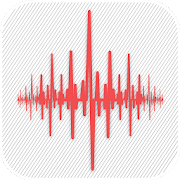 Vibration meter
