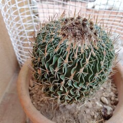 image01