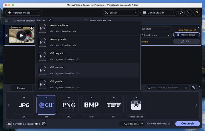 movavi video to gif 2
