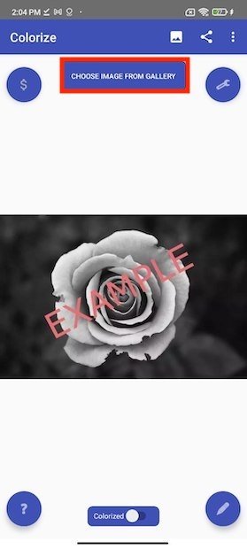 Choose photo from gallery