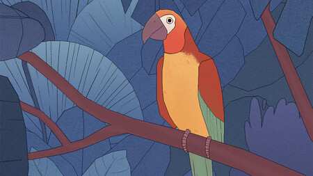 Bird Alone